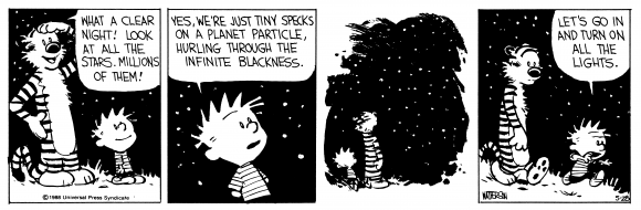 CALVIN AND HOBBES © 1988 Watterson.  Dist. By UNIVERSAL UCLICK. Reprinted with permission.  All rights reserved.[Source: http://www.amureprints.com/]
